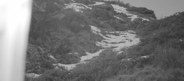 Снимок с фотоловушки с урочища Мамбет-Булак на территории природного парка Чон-Кемин - Sputnik Кыргызстан