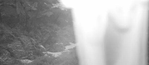 Урочище Мамбет-Булак на территории природного парка Чон-Кемин Урочище Мамбет-Булак на территории природного парка Чон-Кемин - Sputnik Кыргызстан