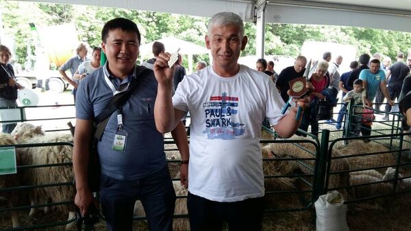 Два кыргызстанца заняли призовые места на соревнованиях по стрижке овец в Болгарии - Sputnik Кыргызстан