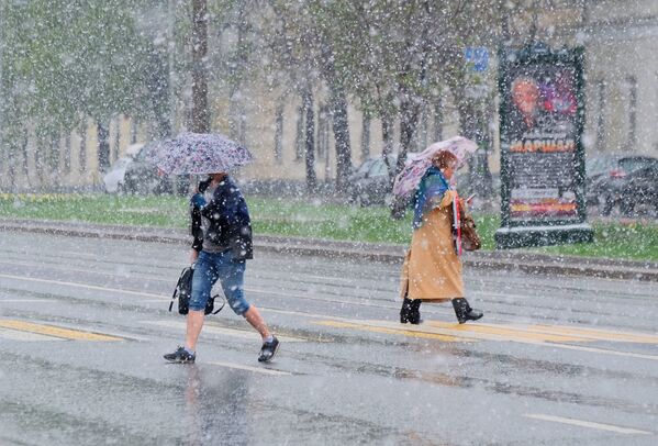 Майский снегопад в Москве - Sputnik Кыргызстан