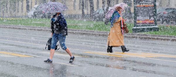 Майский снегопад в Москве - Sputnik Кыргызстан