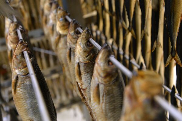 Предприятие по переработке рыбы Русская рыбная фактория в Москве - Sputnik Кыргызстан