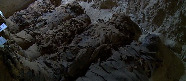 Уникальное видео — обнаружена гробница с 17 мумиями в Египте - Sputnik Кыргызстан