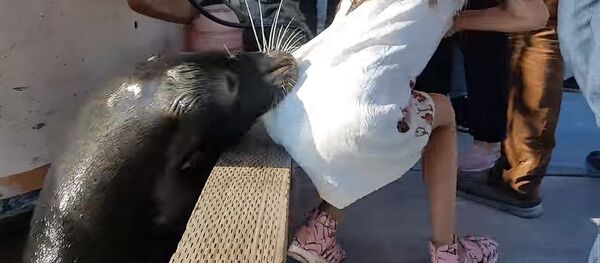 Хищник схватил девочку и утащил в воду — видео очевидца - Sputnik Кыргызстан