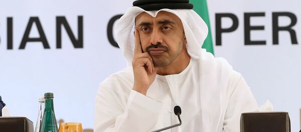 Бириккен Араб эмирлигинин тышкы иштер жана эл аралык кызматташуу боюнча министри шейх Абдалла бин Зайед Аль-Нахайян. Архив - Sputnik Кыргызстан