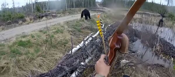 Против медведя с луком и стрелами: кадры нападения зверя на охотника - Sputnik Кыргызстан