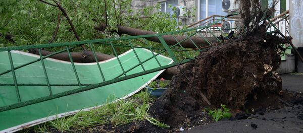 Последствия урагана в Москве - Sputnik Кыргызстан