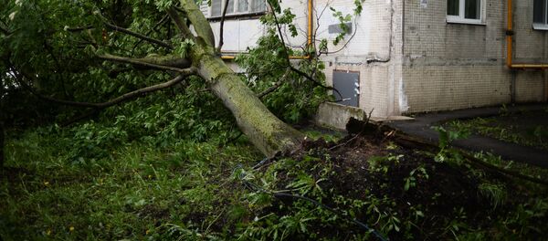 Последствия урагана в Москве - Sputnik Кыргызстан