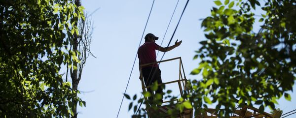 Вырубка деревьев на улице Токтоналиева в Бишкеке - Sputnik Кыргызстан