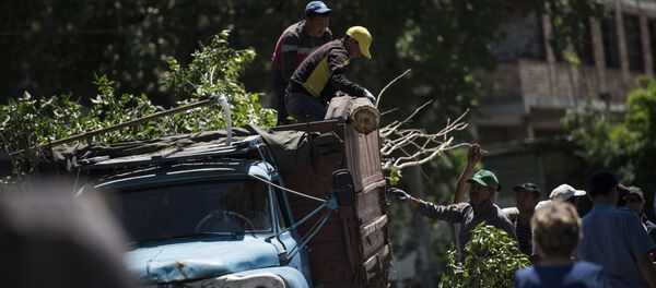Бишкек шаарындагы Токтоналиев көчөсүндөгү бактарды кыйуу Бишкек шаарындагы Токтоналиев көчөсүндөгү бактарды кыйуу - Sputnik Кыргызстан