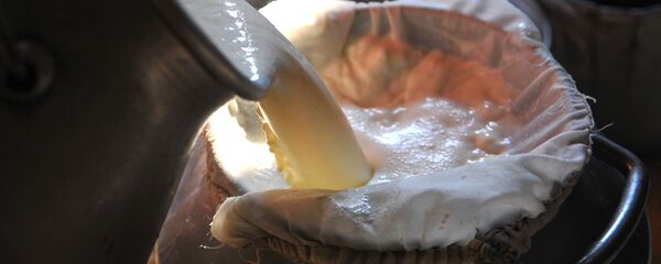 Работа полевой молочной фермы СПК Ташкиново - Sputnik Кыргызстан