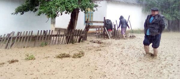 Река вышла из берегов в селе Бузурман-Сай Аксыйского района - Sputnik Кыргызстан