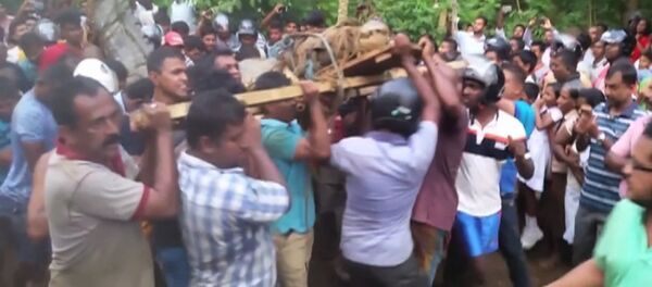 Жители деревни в Шри-Ланке поймали и связали пятиметрового крокодила Жители деревни в Шри-Ланке поймали и связали пятиметрового крокодила - Sputnik Кыргызстан