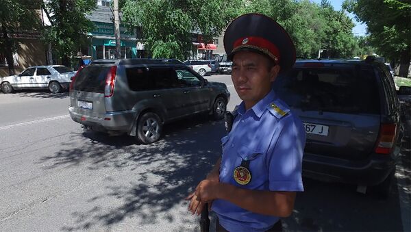 Бишкектик инспектор эмнеге нөшөргө карабай жол кыймылын жөнгө салганын айтып берди - Sputnik Кыргызстан