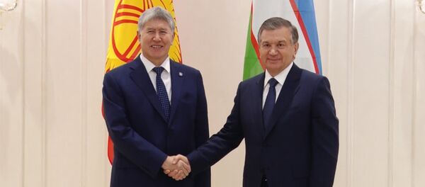 Чек ара формалдуу гана болушу керек. Атамбаев менен Мирзиёевдин жолугушуусу - Sputnik Кыргызстан