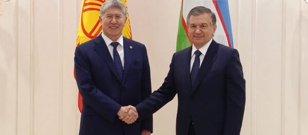 Границы должны быть формальными — кадры встречи Атамбаева и Мирзиёева - Sputnik Кыргызстан