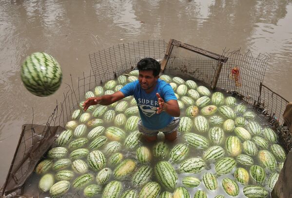 Торговля арбузами в индийском штате Джамму - Sputnik Кыргызстан