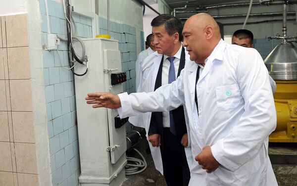 В Оше открылось крупное молокоперерабатывающее предприятие — завод Ош Ак-Сут - Sputnik Кыргызстан