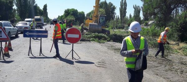 Вырубка деревьев на автотрассе Бишкек — Кара-Балта Вырубка деревьев на автотрассе Бишкек — Кара-Балта - Sputnik Кыргызстан