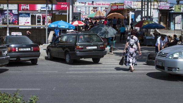 Зебра на улице Жукеева-Пудовкина Бишкека - Sputnik Кыргызстан