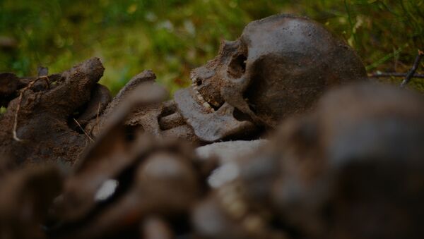Человеческие кости. Архивное фото - Sputnik Кыргызстан