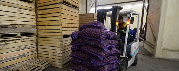 Логистический центр по переработке овощей в Свердловской области - Sputnik Кыргызстан