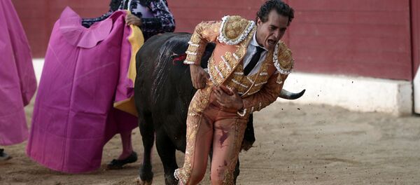 Атактуу матадор Иван Фандиньо өз өнөрүн көрсөтүп жатып каза болду - Sputnik Кыргызстан