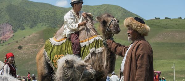Чуңкурчак капчыгайындагы этнофестивалдын катышуучулары. Архив - Sputnik Кыргызстан