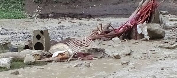 Алайдын Үч-Дөбө айыл аймагында жайгашкан Ничке жайлоосунда сел жүрүп колоттун ичиндеги боз үйдү агызып кетти - Sputnik Кыргызстан