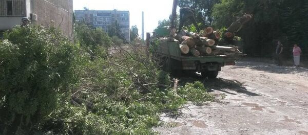 Бишкектеги Чыгыш-5 кичи районунда Болот Мамбетов атындагы көчөнүн жээгинде бардык бактарды кыйып салышкан Бишкектеги Чыгыш-5 кичи районунда Болот Мамбетов атындагы көчөнүн жээгинде бардык бактарды кыйып салышкан - Sputnik Кыргызстан