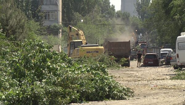 Спасибо! Восток-5 стал бетонной пустыней — о вырубке деревьев в Бишкеке - Sputnik Кыргызстан
