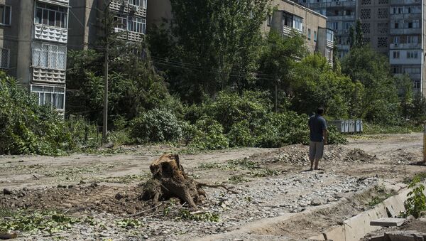 Вырубка деревьев в микрорайоне Восток-5. Архивное фото - Sputnik Кыргызстан
