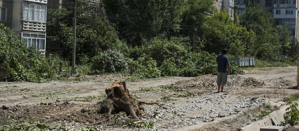 Вырубка деревьев в микрорайоне Восток-5. Архивное фото - Sputnik Кыргызстан