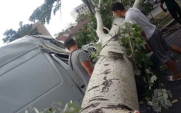Последствия сильного ветра в Бишкеке - Sputnik Кыргызстан