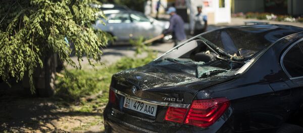 Сильный ветер в Бишкеке - Sputnik Кыргызстан