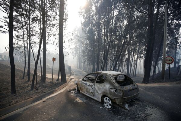 Лесные пожары в Португалии - Sputnik Кыргызстан