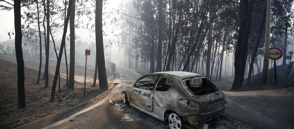 Токойдойдогу өрт. Архив - Sputnik Кыргызстан