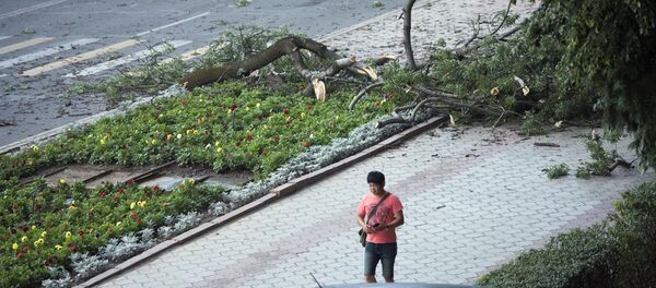 Последствия сильного ветра в Бишкеке - Sputnik Кыргызстан