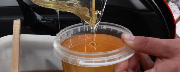 Продовольственная ярмарка во Владивостоке - Sputnik Кыргызстан