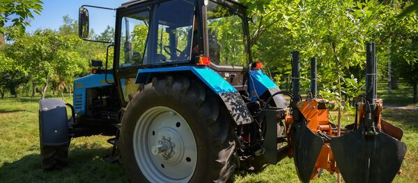 Бишкек мэриясы сейил бактарды иретке келтирүү үчүн атайын техника сатып алды - Sputnik Кыргызстан