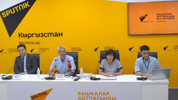 Деятельность аэропортов обсудили в пресс-центре Sputnik Кыргызстан - Sputnik Кыргызстан