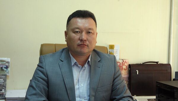 Директор Департамента дорожного хозяйства Бозолаев Керимкул - Sputnik Кыргызстан