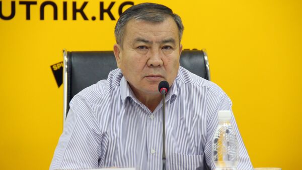 Заместитель начальника Управления капитального строительства мэрии Бишкека Койчугул Ибраимов - Sputnik Кыргызстан