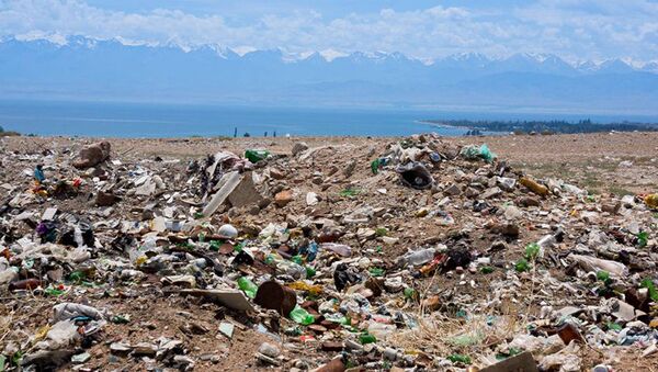 Самопроизвольная свалка мусора в поселке Тамчы - Sputnik Кыргызстан