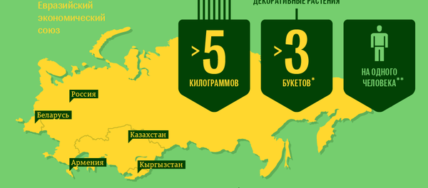 Нормы ввоза растительной продукции в страны ЕАЭС - Sputnik Кыргызстан