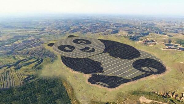Солнечная электростанция в форме панды в Китае - Sputnik Кыргызстан