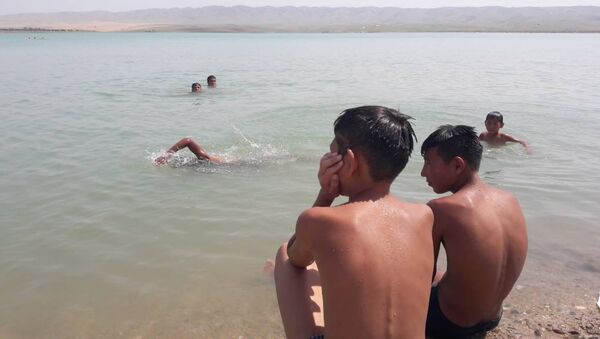 Отдыхающие у водохранилища Кайырма Базар-Коргонского района - Sputnik Кыргызстан