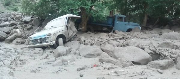 Сель в селе Кичи-Алай Араванского р-на - Sputnik Кыргызстан