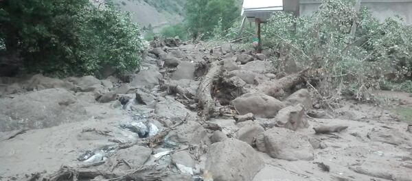 Аравандын Кичи-Алай айылындагы селдин кесепеттери - Sputnik Кыргызстан