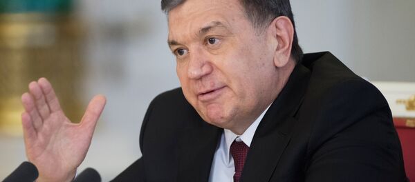 Президент РФ В. Путин встретился с президентом Узбекистана Ш. Мирзиеевым Президент РФ В. Путин встретился с президентом Узбекистана Ш. Мирзиеевым - Sputnik Кыргызстан